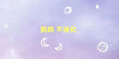 鹦鹉 不消化